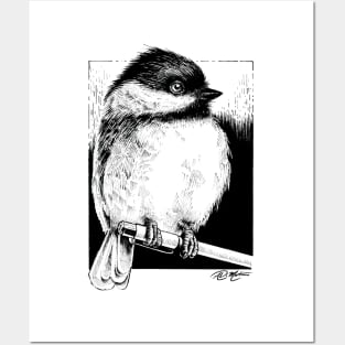 Pen & Chickadee Posters and Art